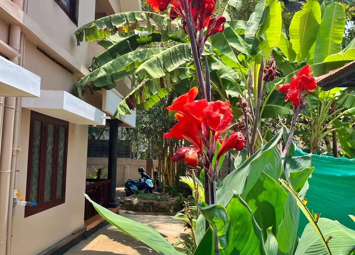 Bava Beach Resort & Retreat Center Varkala